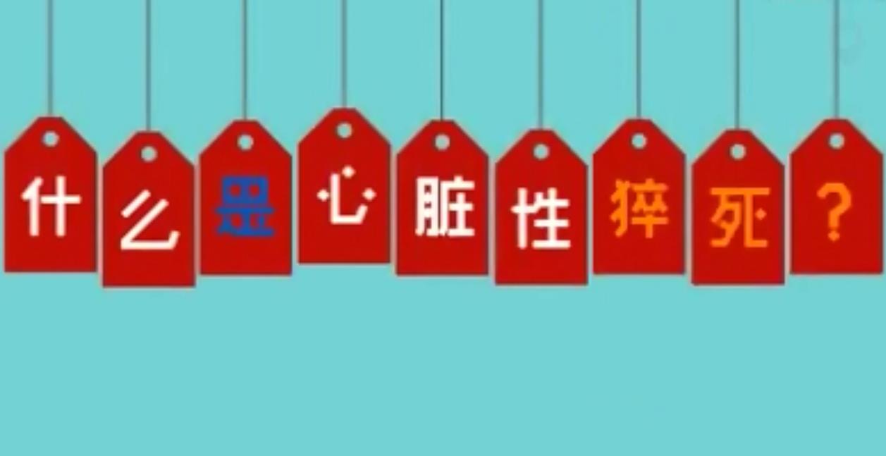 &#26143;&#31354;&#20307;&#32946;